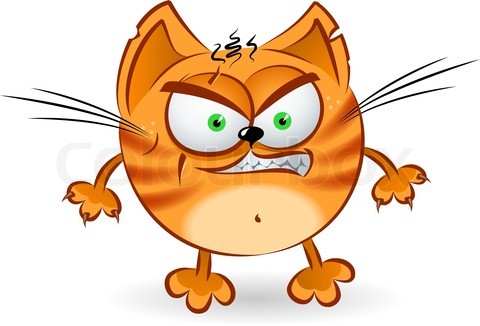 4012058 654827 the angry orange  cartoon cat  Lan s SoapBox